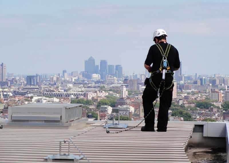 Fixed Lifeline Systems